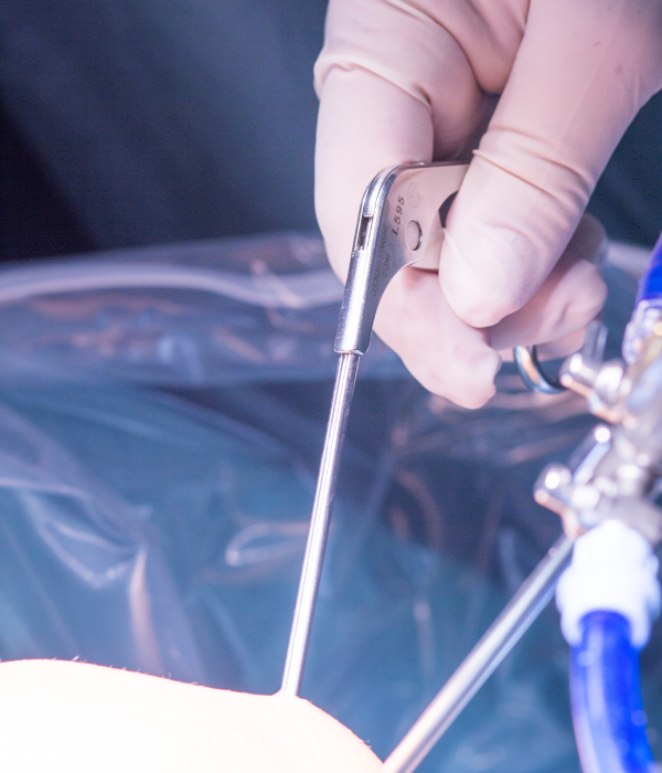 Untitled design - 2025-11-11T161416.309