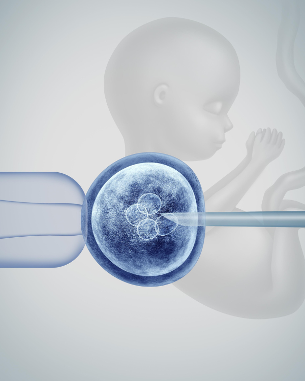 Untitled design - 2025-11-14T152237.710