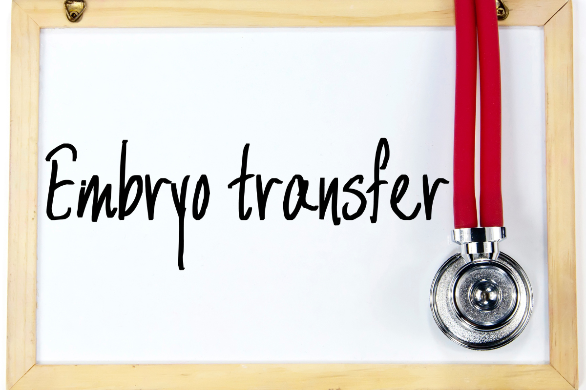 Untitled design (23)