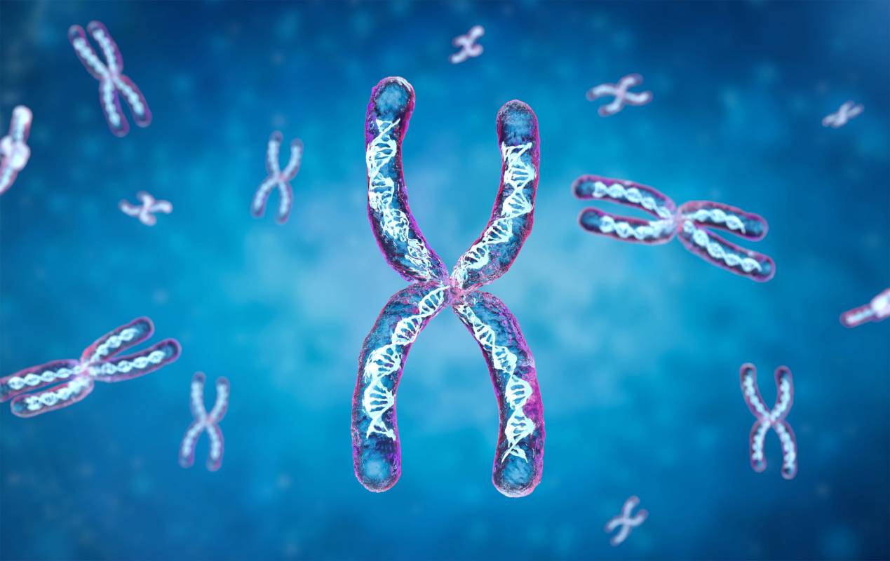 transparent-chromosome-x-contain-dna-strand-inside (1)