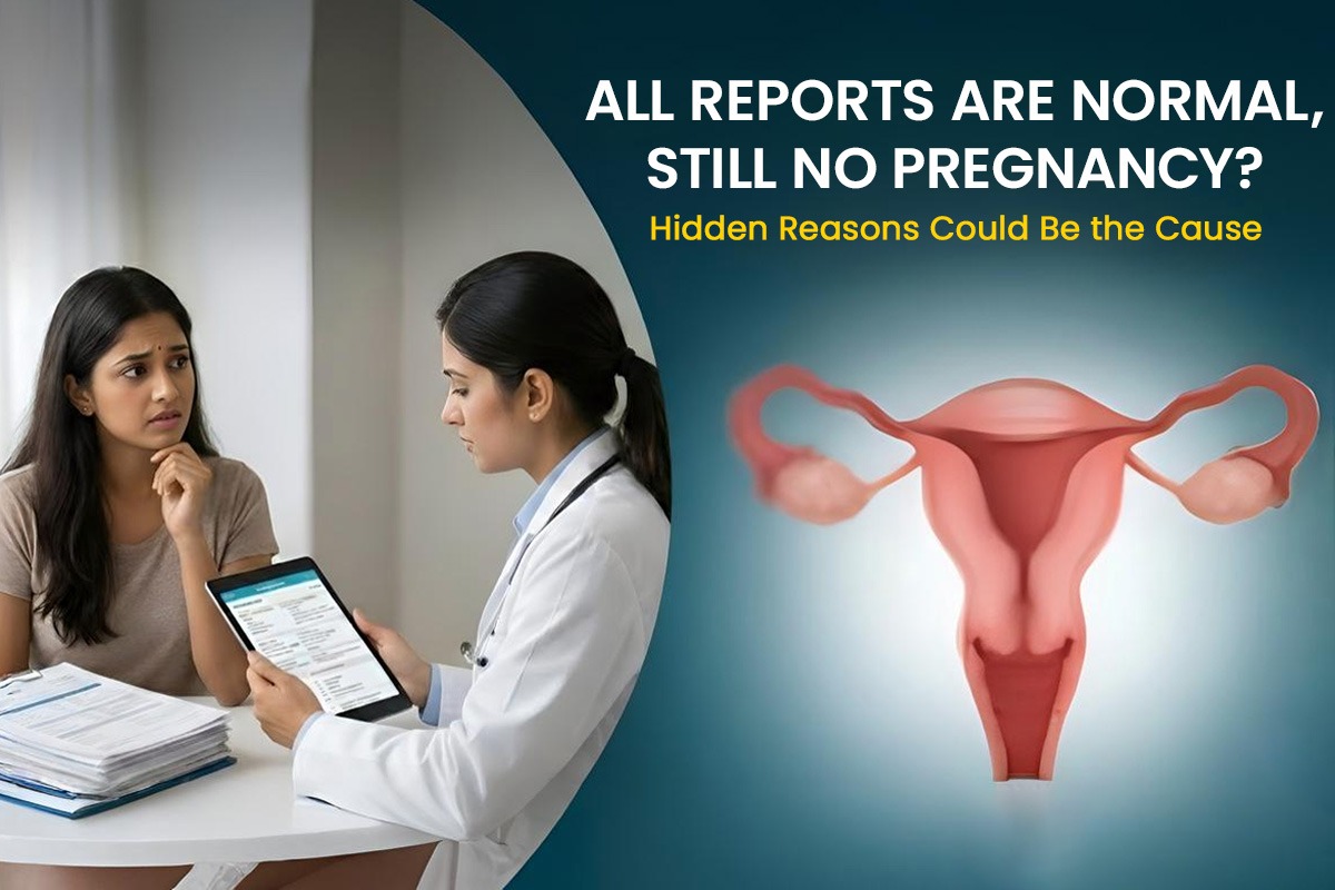 Silent Barriers to Conception: When Everything Seems Normal, But Pregnancy Still Doesn’t Happen