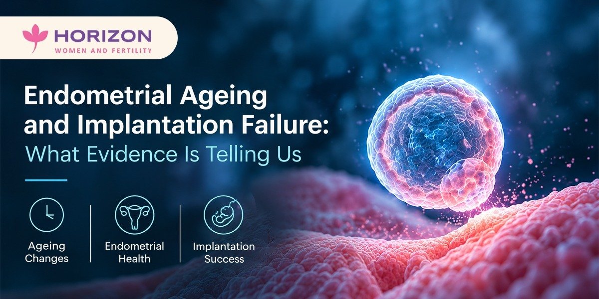 Endometrial Ageing and Implantation Failure: What Evidence Is Telling Us